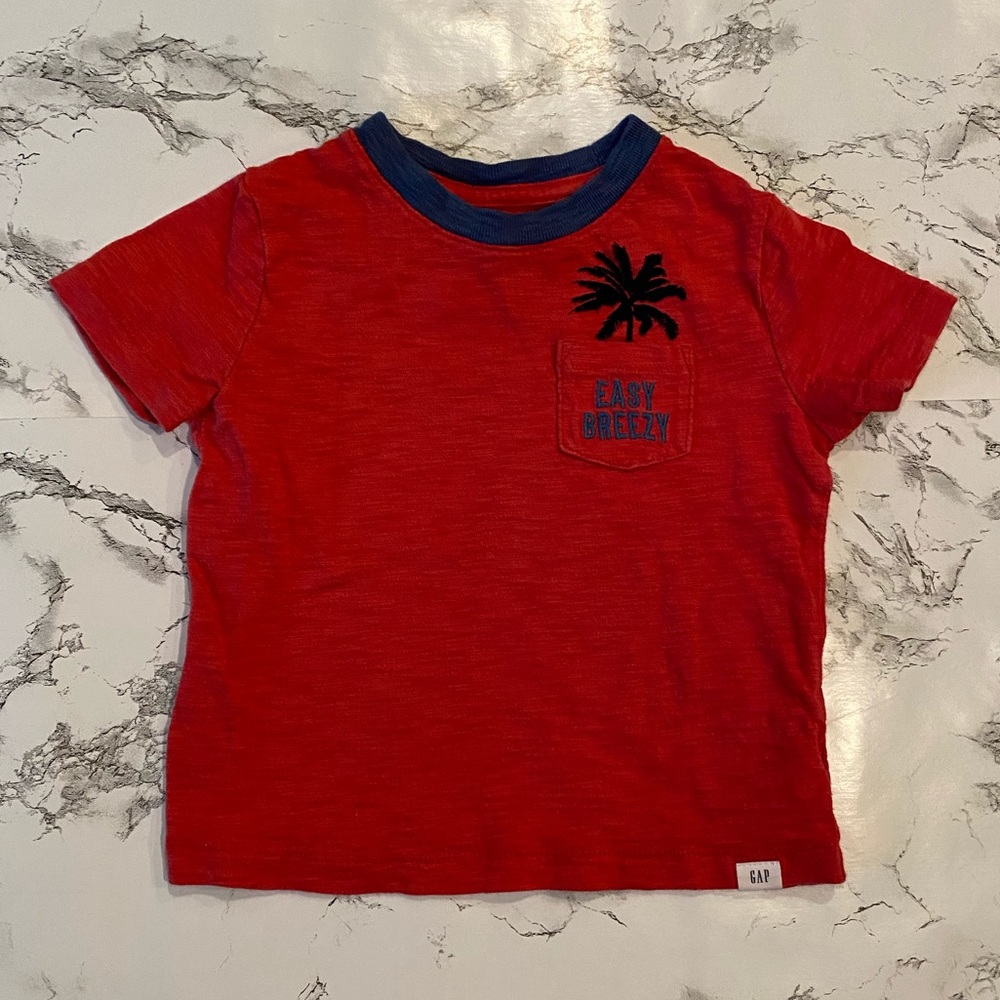 Toddler boy Gap T-shirt